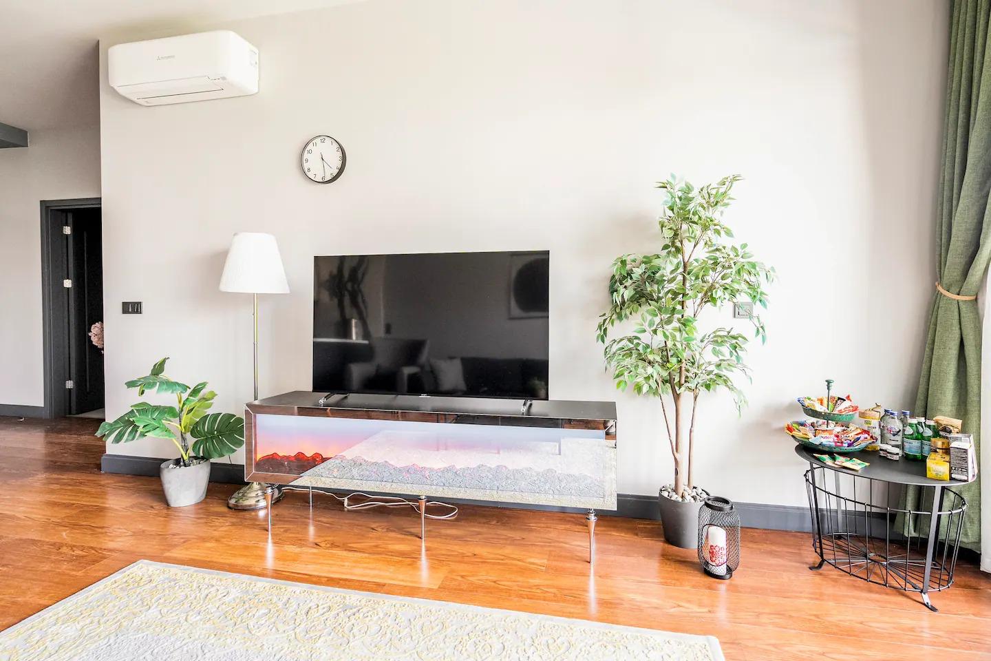 Modern 1+1 Apartment