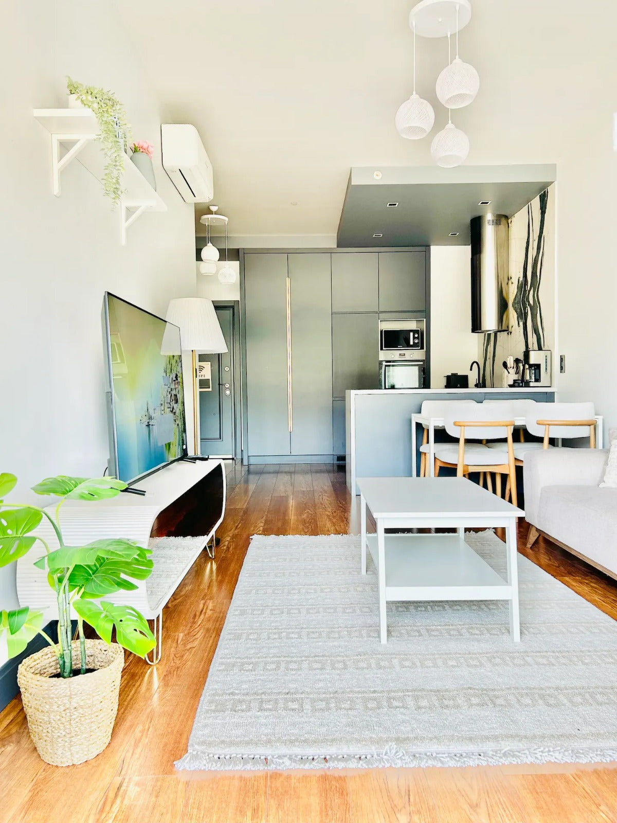 Stylish 1+1 Apartment